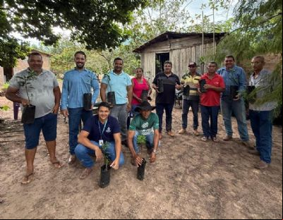 Prefeitura de Porto Alegre fortalece agricultura familiar com entrega de mudas de c