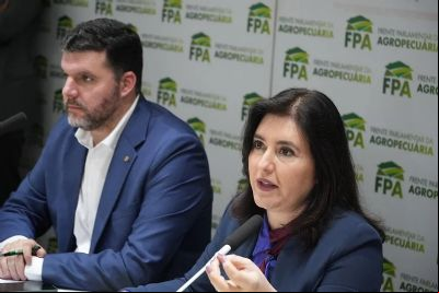 Seguro rural: valor depende de arcabou