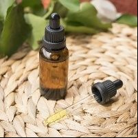 Planta brasileira produz canabidiol