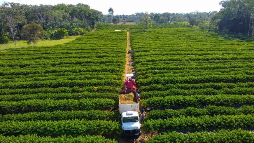 Governo de MT lan
