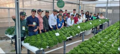 Empaer, parceiros e produtores participam da Hortitec em Holambra-SP