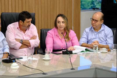 Deputado refor