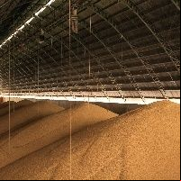 61,0% dos produtores n
