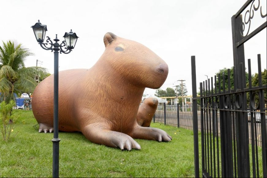 Capivara de quatro metros de altura chama aten