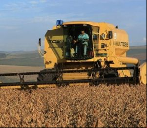 Produtores de Mato Grosso se preparam para o plantio de soja