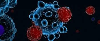 Cientistas descobrem poss