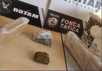 Rotam flagra irm