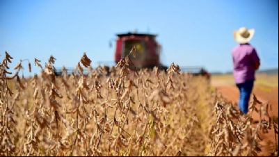 PIB da soja e do biodiesel no Brasil pode subir 20% em 2023